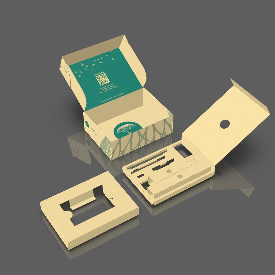 Terra Boxes & Special Editions!