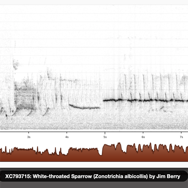 Sonograms