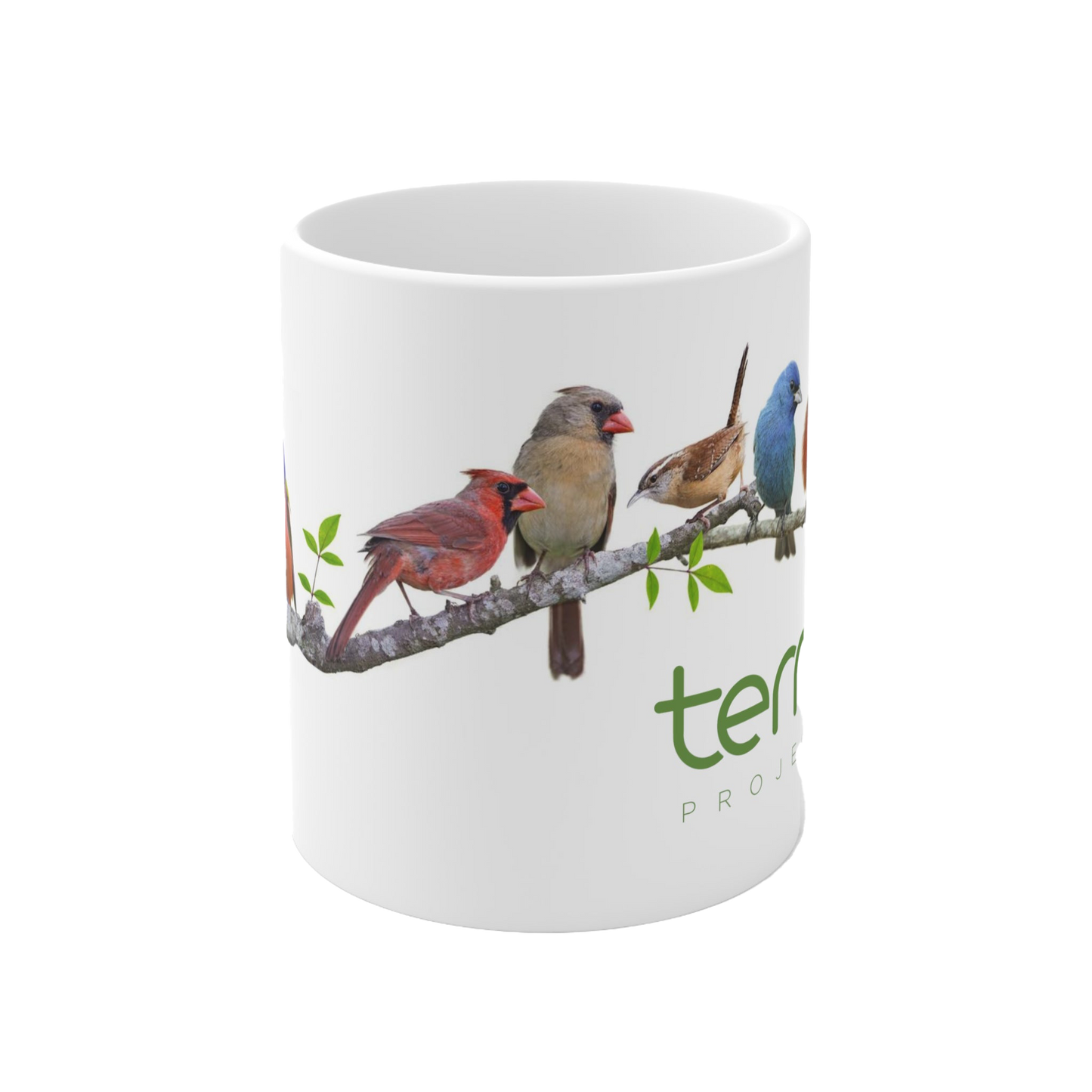 Terra Mug