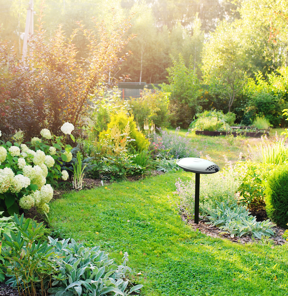 Mount Terra with the included stake or swivel mount