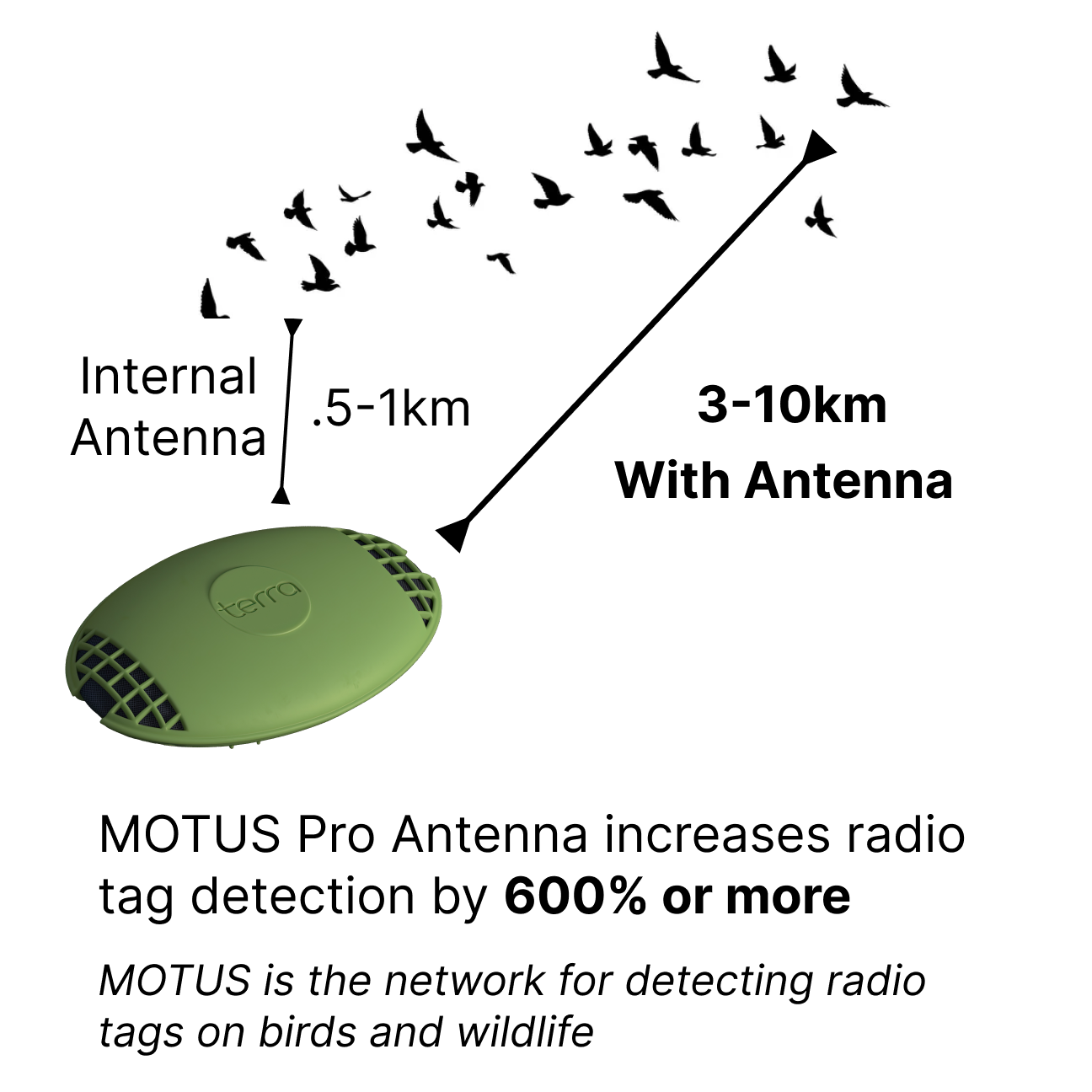 Professional Motus Antenna
