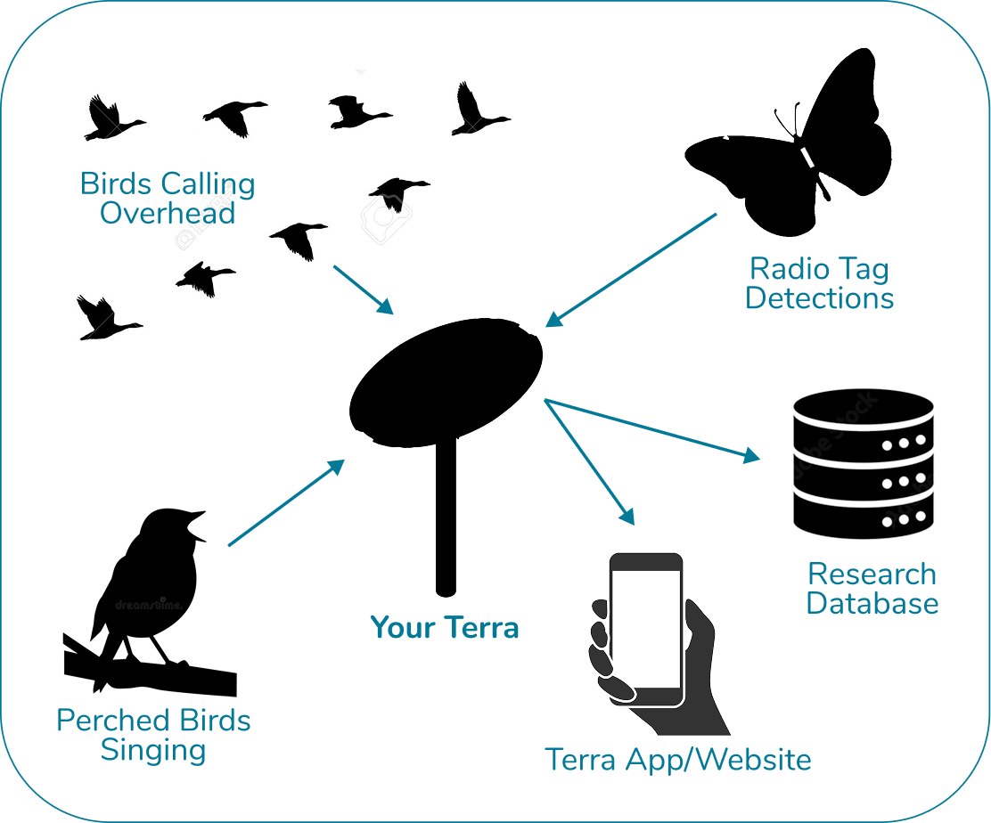 Terra collects sounds and radio signals to share with you and with researchers
