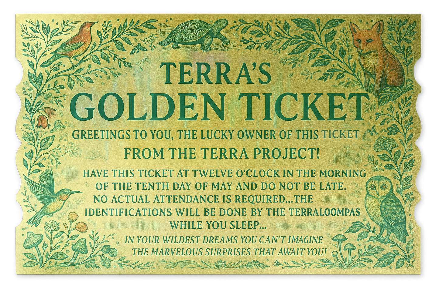 Terra Big Listen Entry