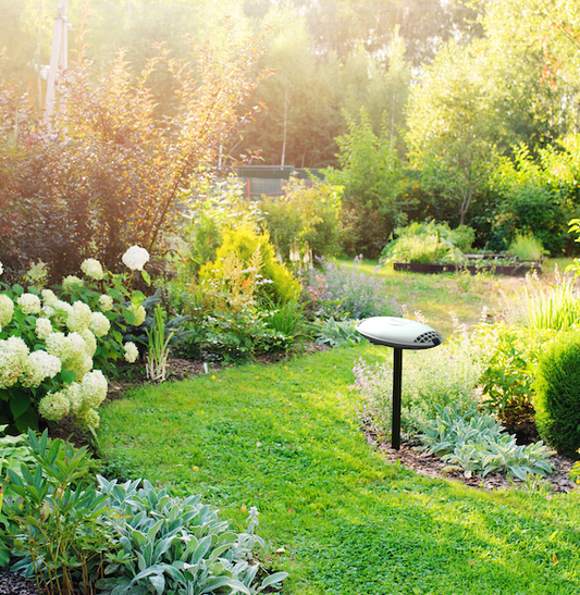 Mount Terra with the included stake or  swivel mount