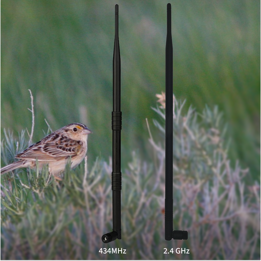 Premium Motus Antenna Kit (434MHz + 2.4GHz Blu Series)