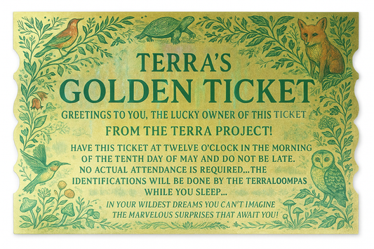 Terra Big Listen Entry