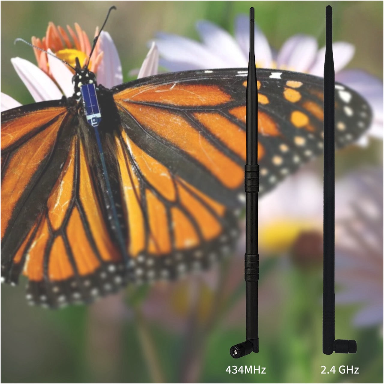 Premium Motus Antenna Kit (434MHz + 2.4GHz Blu Series)